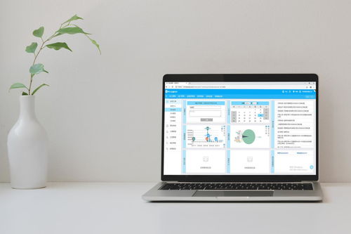 免費裝修管理軟件靠譜嗎？——兼談軟件外包服務的優(yōu)勢與選擇