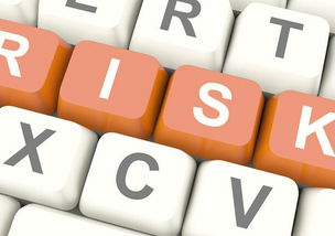 軟件開發(fā)外包 風險管理不可忽視的關鍵環(huán)節(jié)